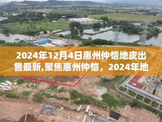 聚焦惠州仲愷，2024年地皮出售最新動(dòng)態(tài)
