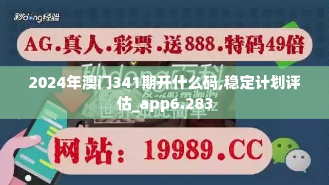 2024年澳門341期開什么碼,穩定計劃評估_app6.283