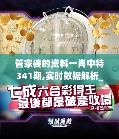 管家婆的資料一肖中特341期,實時數據解析_復古款4.582