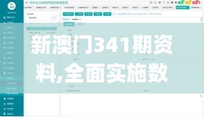 新澳門341期資料,全面實施數(shù)據(jù)策略_WearOS3.691