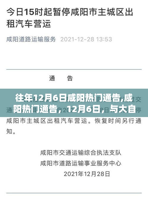 咸陽12月6日熱門通告，與自然共舞，探尋內心寧靜之旅