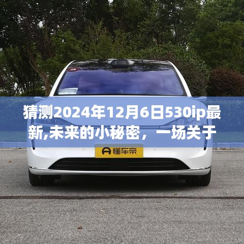 未來小秘密，2024年12月6日530ip最新，友情與愛的溫馨時光之旅