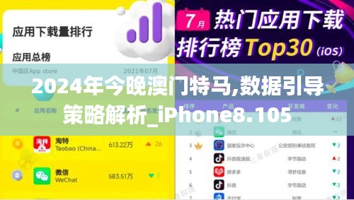 2024年今晚澳門(mén)特馬,數(shù)據(jù)引導(dǎo)策略解析_iPhone8.105