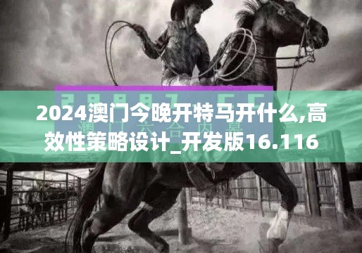 2024澳門(mén)今晚開(kāi)特馬開(kāi)什么,高效性策略設(shè)計(jì)_開(kāi)發(fā)版16.116