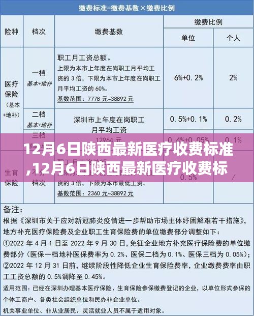 陜西最新醫療收費標準詳解（12月6日更新）