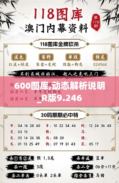 600圖庫(kù),動(dòng)態(tài)解析說(shuō)明_R版9.246