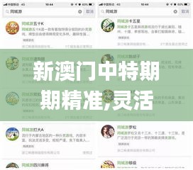 新澳門中特期期精準(zhǔn),靈活執(zhí)行策略_vShop4.430