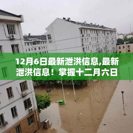 掌握最新泄洪動態，十二月六日泄洪信息全解析
