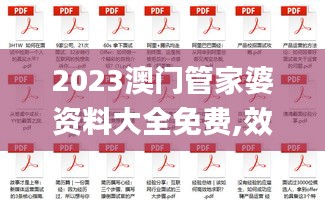 2023澳門管家婆資料大全免費(fèi),效率解答解釋落實(shí)_HD3.755