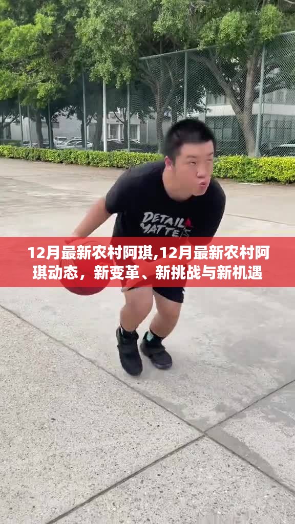 12月最新農(nóng)村阿琪，新變革、挑戰(zhàn)與機(jī)遇的交織