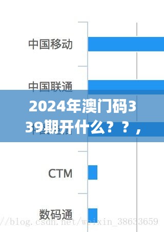2024年澳門碼339期開什么？？,數據導向解析計劃_網紅版2.449