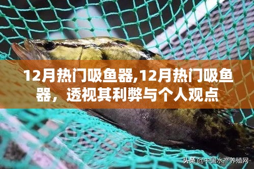 12月熱門吸魚器，利弊分析與個人觀點透視