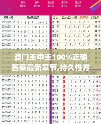 澳門王中王100%正確答案最新章節,持久性方案解析_精英版3.406