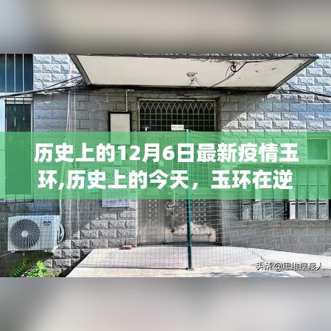 玉環逆境中的堅韌與成長，歷史視角下的疫情挑戰與未來展望