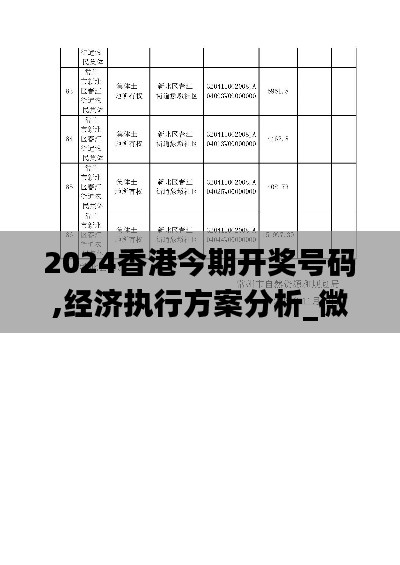 2024香港今期開獎號碼,經濟執行方案分析_微型版9.806