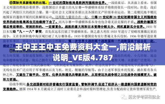 王中王王中王免費資料大全一,前沿解析說明_VE版4.787