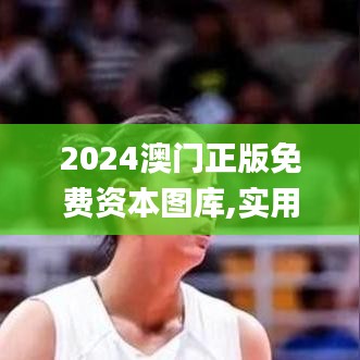 2024澳門正版免費資本圖庫,實用性執行策略講解_粉絲款1.216