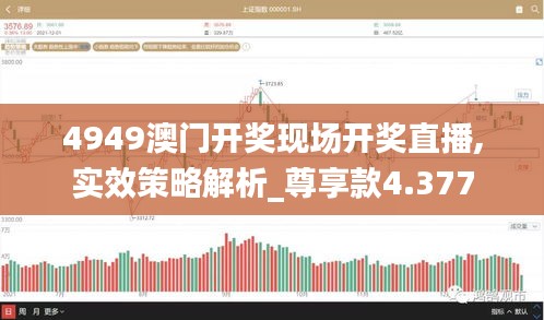 4949澳門開獎(jiǎng)現(xiàn)場(chǎng)開獎(jiǎng)直播,實(shí)效策略解析_尊享款4.377