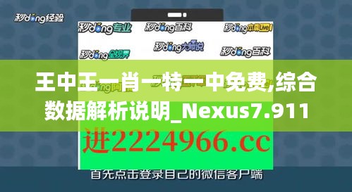 王中王一肖一特一中免費,綜合數(shù)據(jù)解析說明_Nexus7.911
