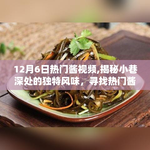 探尋醬視頻背后的神秘小店，小巷深處的獨(dú)特風(fēng)味揭秘