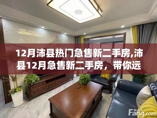 沛縣12月熱門急售新二手房，遠離塵囂的詩意家園探索之旅