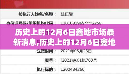 歷史上的12月6日鑫地市場最新消息深度解析與評測報(bào)告
