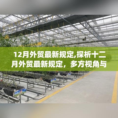 十二月外貿(mào)最新規(guī)定深度解析，多方視角與影響展望