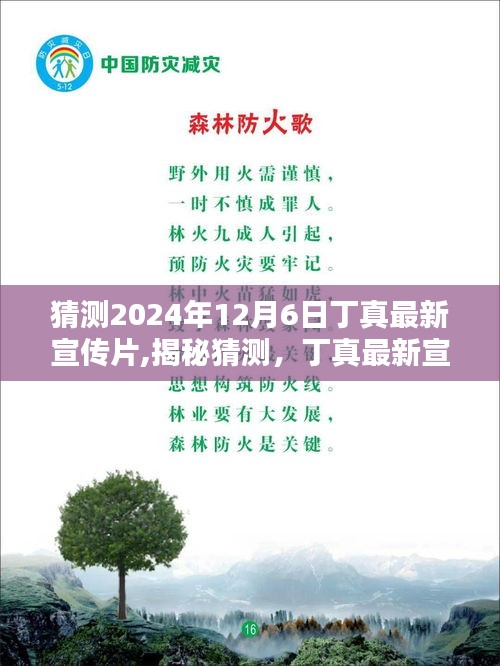 揭秘猜測，丁真最新宣傳片亮相預告 2024年12月6日，純真相遇時刻！