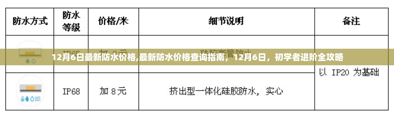 12月6日防水價格大全，查詢指南與初學(xué)者進(jìn)階攻略