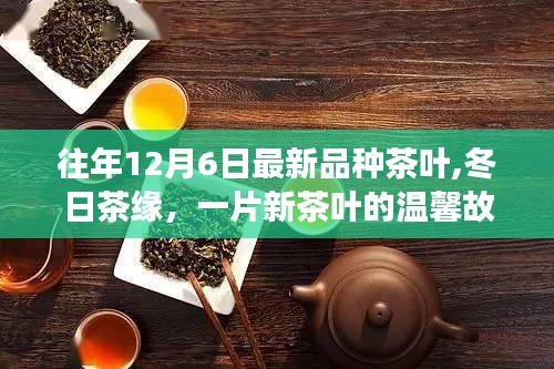 冬日茶緣，最新品種茶葉的溫馨故事——12月6日的新茶篇章