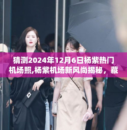 楊紫機場新風尚揭秘與獨特小店探秘記，2024年12月6日機場照猜想