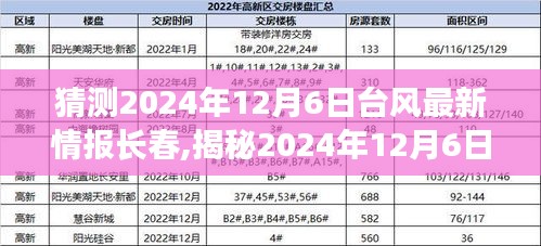 揭秘2024年12月6日臺風最新動態(tài)，長春備戰(zhàn)，臺風預警與應對措施全解析
