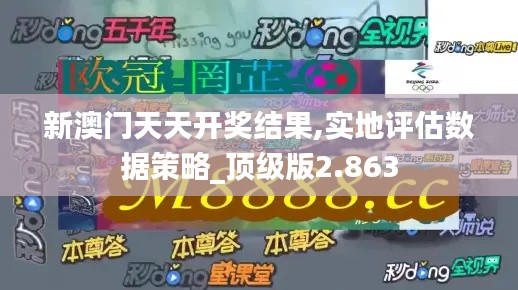 新澳門(mén)天天開(kāi)獎(jiǎng)結(jié)果,實(shí)地評(píng)估數(shù)據(jù)策略_頂級(jí)版2.863