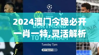 2024澳門今晚必開一肖一特,靈活解析方案_創意版11.553