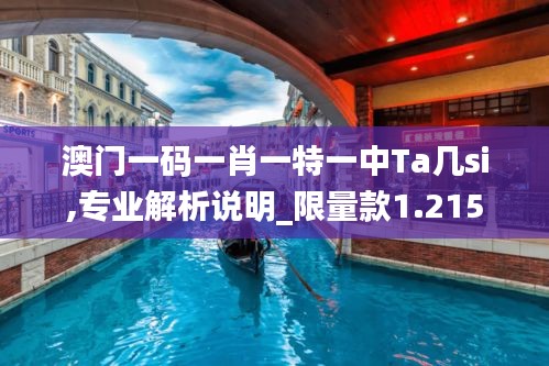 澳門一碼一肖一特一中Ta幾si,專業解析說明_限量款1.215