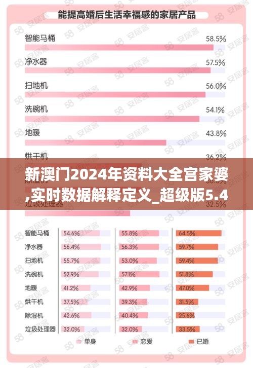 新澳門2024年資料大全宮家婆,實時數據解釋定義_超級版5.428