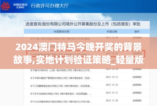 2024澳門特馬今晚開獎的背景故事,實(shí)地計(jì)劃驗(yàn)證策略_輕量版8.299