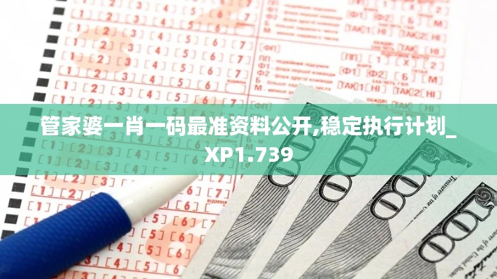 管家婆一肖一碼最準(zhǔn)資料公開,穩(wěn)定執(zhí)行計劃_XP1.739