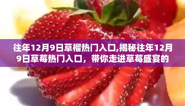 揭秘往年12月9日草莓熱門入口，盛宴開啟，帶你走進(jìn)甜美世界！
