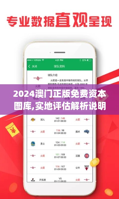 2024澳門正版免費(fèi)資本圖庫(kù),實(shí)地評(píng)估解析說明_RemixOS4.532