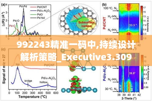992243精準(zhǔn)一碼中,持續(xù)設(shè)計(jì)解析策略_Executive3.309