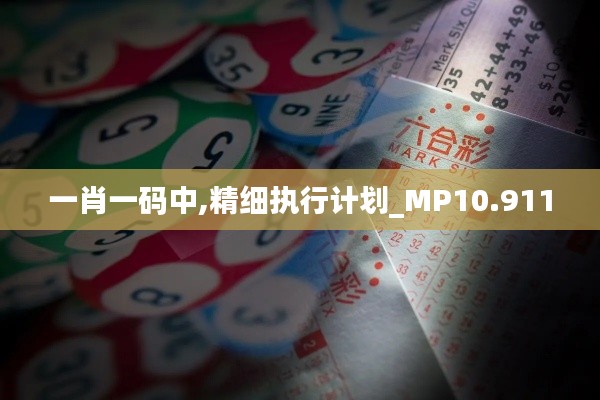 一肖一碼中,精細(xì)執(zhí)行計(jì)劃_MP10.911