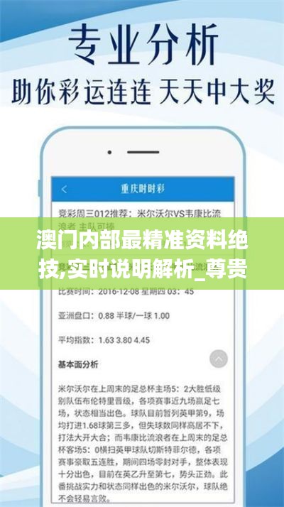 澳門內部最精準資料絕技,實時說明解析_尊貴款1.199