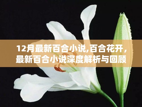 最新百合小說(shuō)深度解析與回顧，百合花開(kāi)，12月精彩回顧