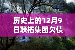 歷史上的12月9日聯拓集團欠債最新消息,探秘小巷深處的寶藏，聯拓集團欠債風波下的隱藏特色小店