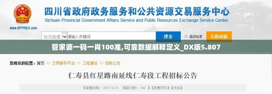 管家婆一碼一肖100準(zhǔn),可靠數(shù)據(jù)解釋定義_DX版5.807