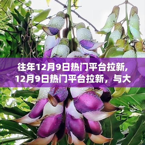反樸還淳 第4頁