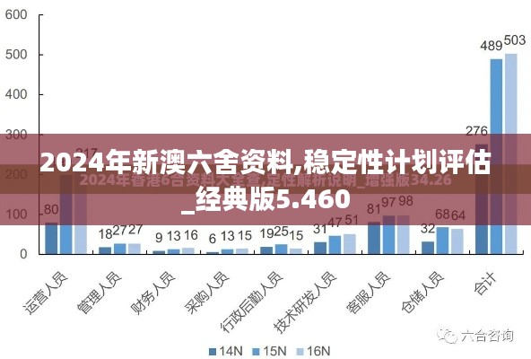 2024年新澳六舍資料,穩(wěn)定性計劃評估_經(jīng)典版5.460