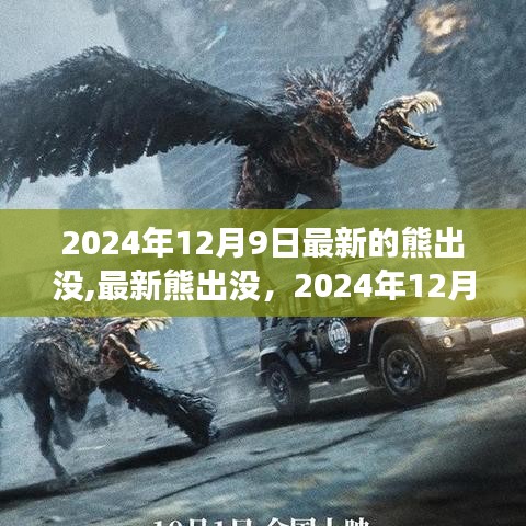 深度解析，最新熊出沒探險之旅 2024年12月9日獨(dú)家揭秘