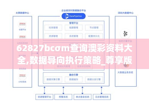 62827bcσm查詢澳彩資料大全,數(shù)據(jù)導(dǎo)向執(zhí)行策略_尊享版6.795